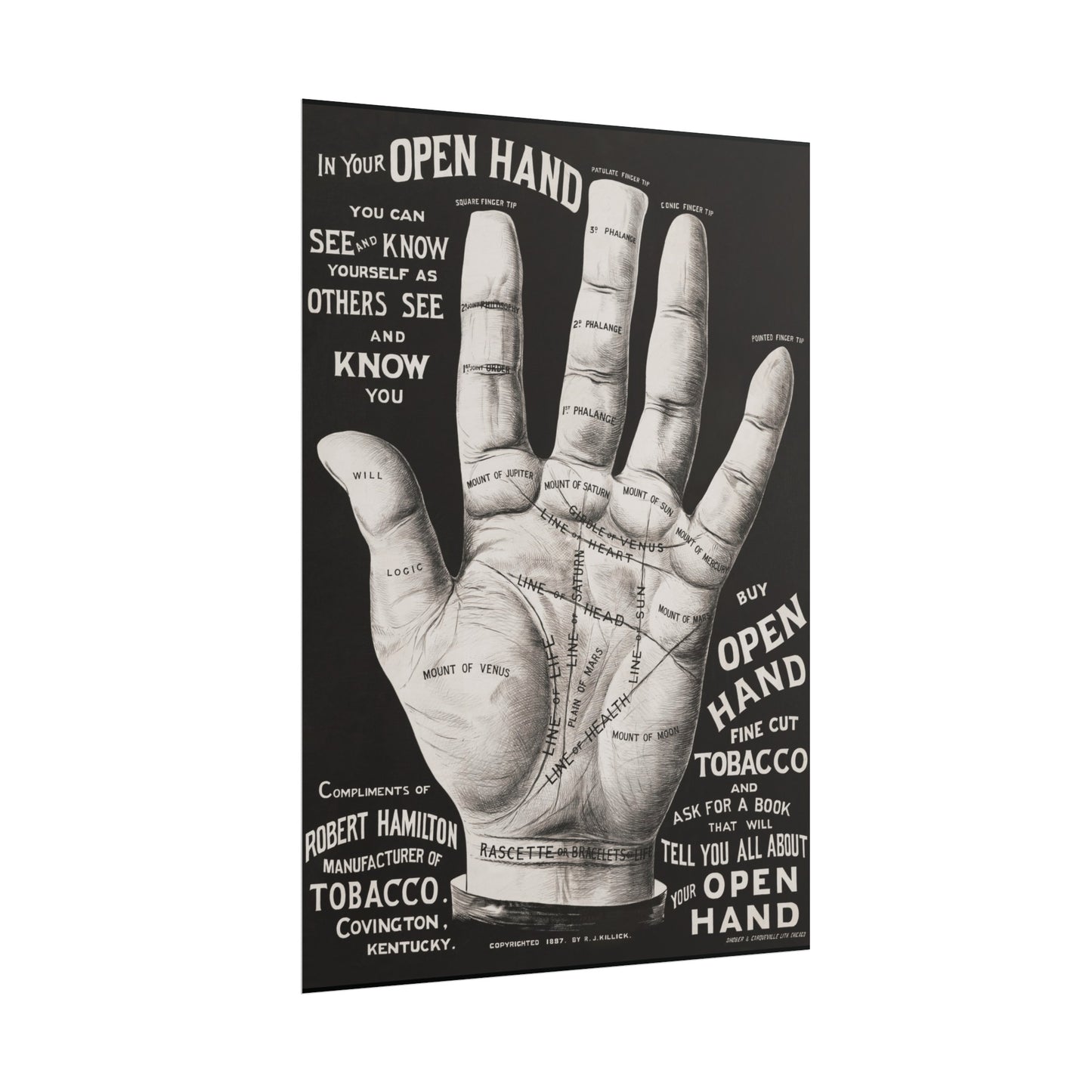 Vintage Palmistry Hand Poster | Open Hand Fine Cut Tobacco | Five Sizes Available | Retro Wall Art | Occult Décor | 1887 Advertisement