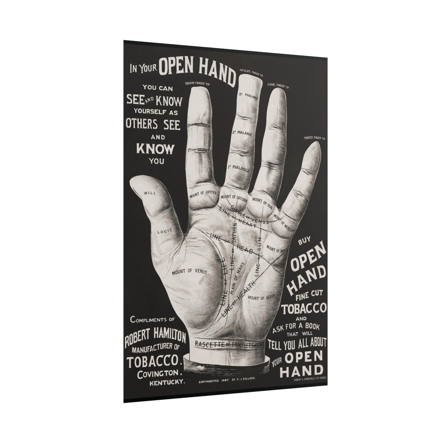 Vintage Palmistry Hand Poster | Open Hand Fine Cut Tobacco | Five Sizes Available | Retro Wall Art | Occult Décor | 1887 Advertisement