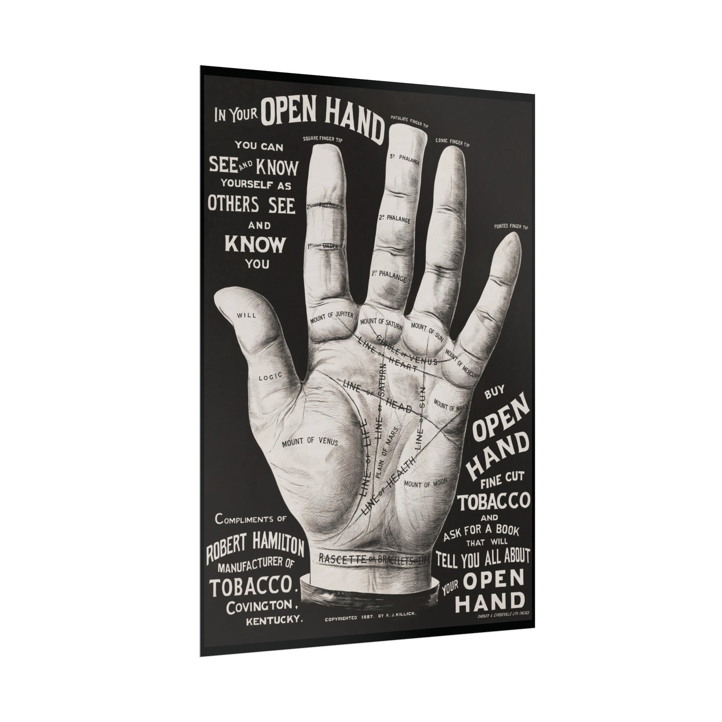 Vintage Palmistry Hand Poster | Open Hand Fine Cut Tobacco | Five Sizes Available | Retro Wall Art | Occult Décor | 1887 Advertisement