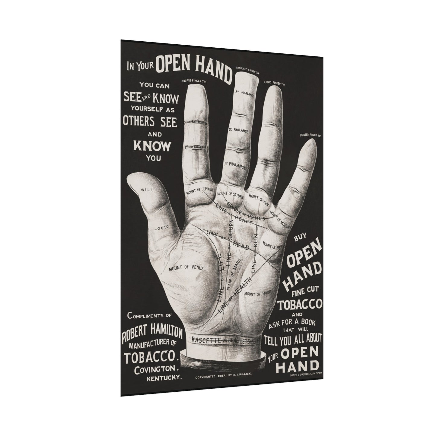 Vintage Palmistry Hand Poster | Open Hand Fine Cut Tobacco | Five Sizes Available | Retro Wall Art | Occult Décor | 1887 Advertisement