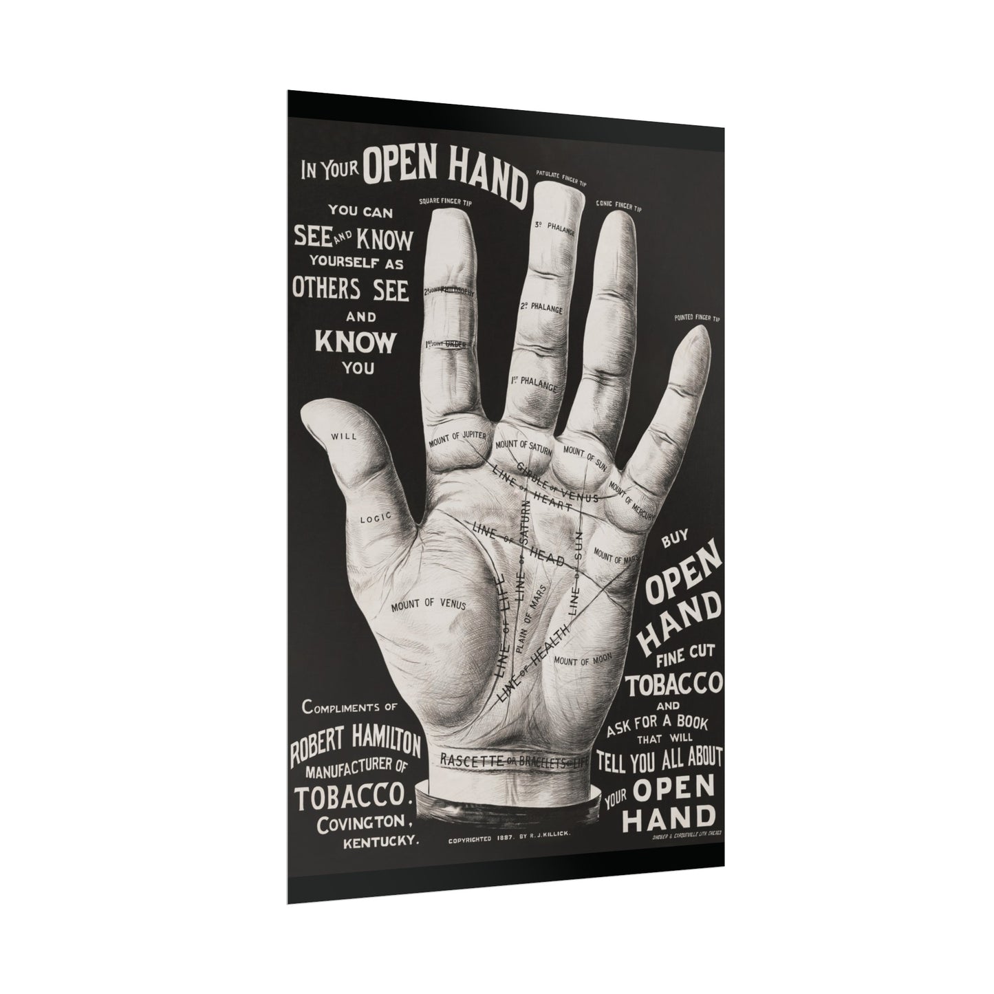 Vintage Palmistry Hand Poster | Open Hand Fine Cut Tobacco | Five Sizes Available | Retro Wall Art | Occult Décor | 1887 Advertisement