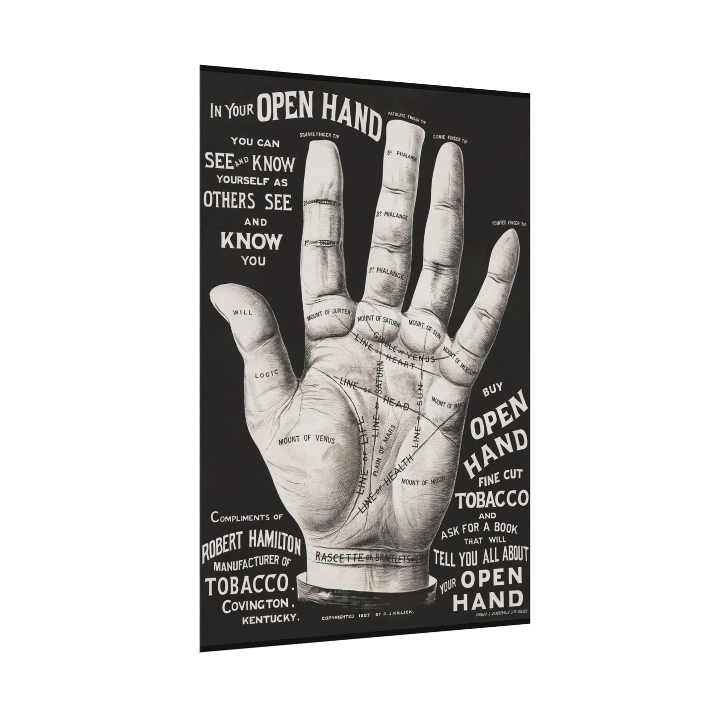 Vintage Palmistry Hand Poster | Open Hand Fine Cut Tobacco | Five Sizes Available | Retro Wall Art | Occult Décor | 1887 Advertisement