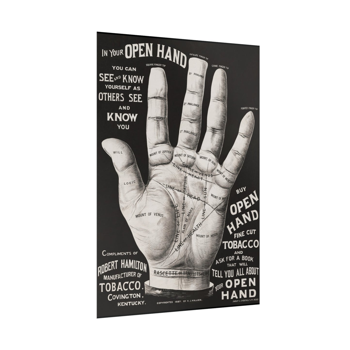 Vintage Palmistry Hand Poster | Open Hand Fine Cut Tobacco | Five Sizes Available | Retro Wall Art | Occult Décor | 1887 Advertisement