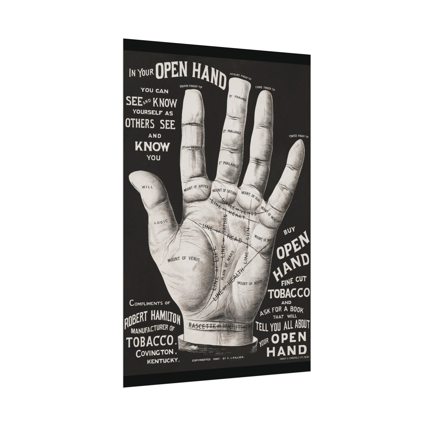 Vintage Palmistry Hand Poster | Open Hand Fine Cut Tobacco | Five Sizes Available | Retro Wall Art | Occult Décor | 1887 Advertisement